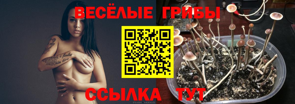 Галлюциногенные грибы ЛСД  Галлюциногенные грибы GOLDEN TEACHER  Ижевск  Вход с VPN 