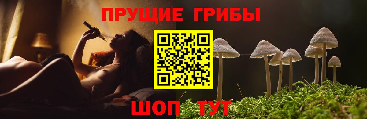 Псилоцибиновые грибы мухоморы Ижевск